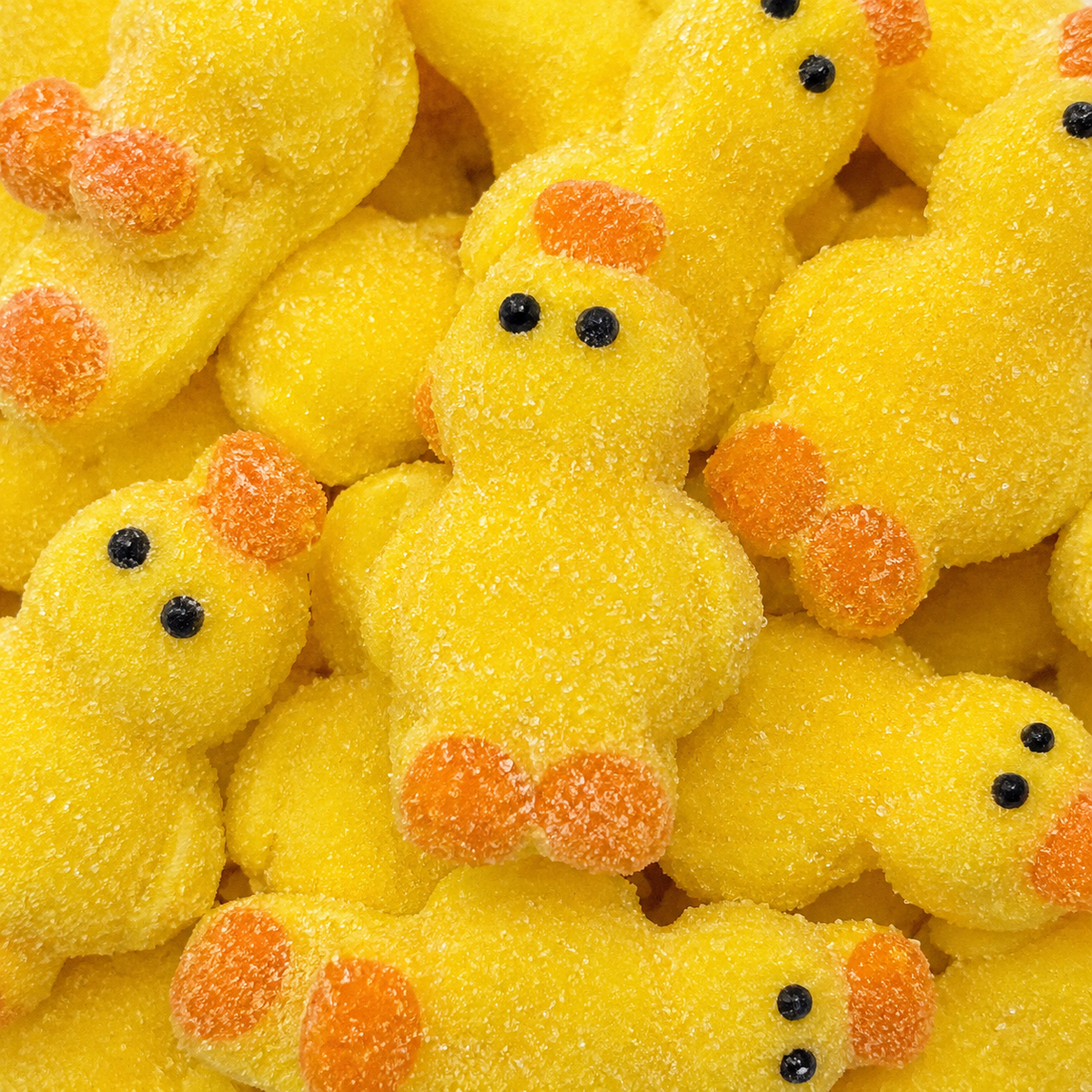 Yellow Duck Marshmallows (Individually Wrapped)