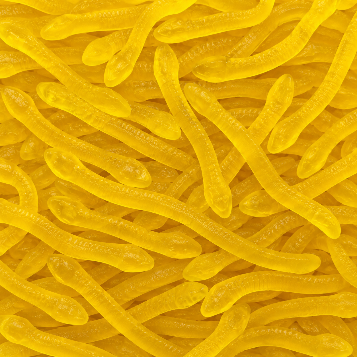 Lemon Snakes Gummies
